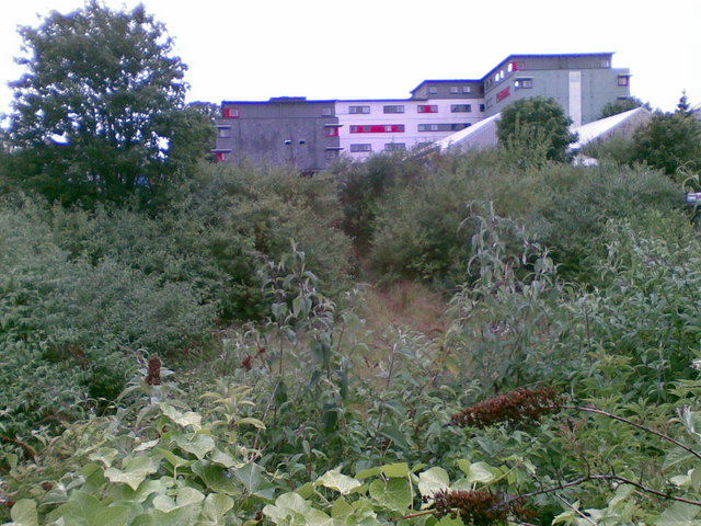 A four-to-five-story dark gray and cream building on a hill crest in Plymouth, viewed across a foreground of dense scrub, young trees, and partially hidden temporary marquee structures under a flat white sky.