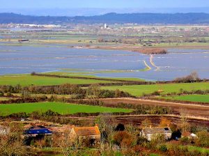 High-angle view of stone cottages in Lower Burrow overlooking green farmland and flooded fields across West Moor on the Somerset Levels.