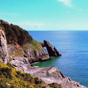 Scenic view of London Bridge Arch, a natural limestone rock arch, jutting into the sea from steep cliffs covered in yellow gorse in Torquay, Devon.