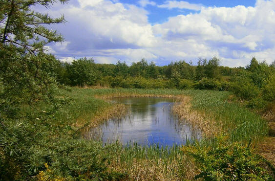 SuDs Ponds can be beautiful and add to local appeal. 